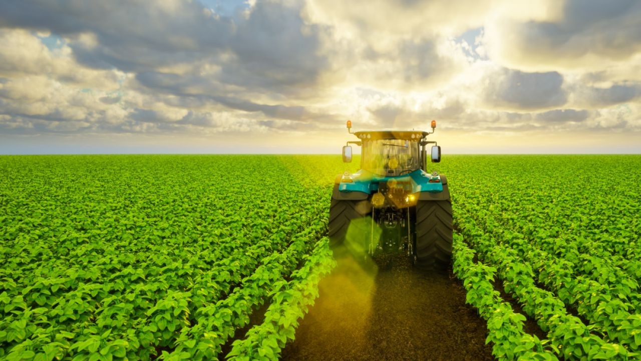 Nearly 75% of New Zealand’s Rural Population Works in Agriculture – What Smart New Zealanders Are Doing Differently