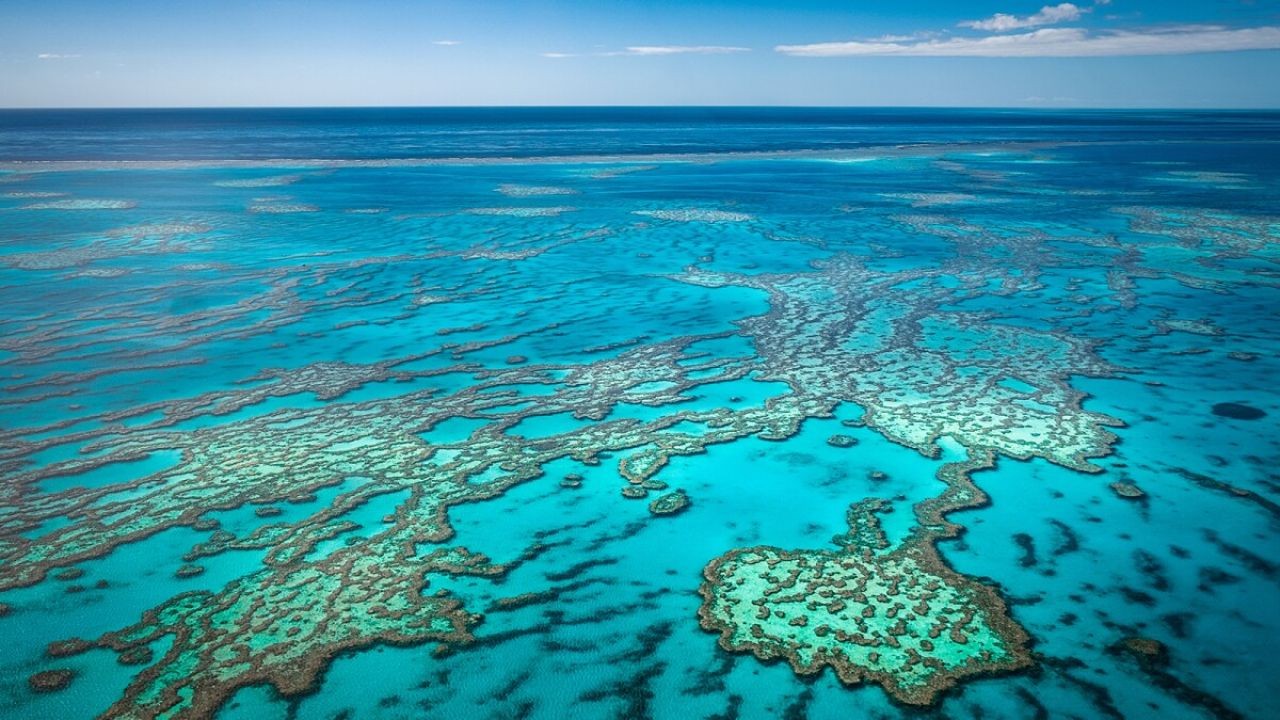 Revitalizing the Great Barrier Reef – Why Australian Experts Are Paying Attention
