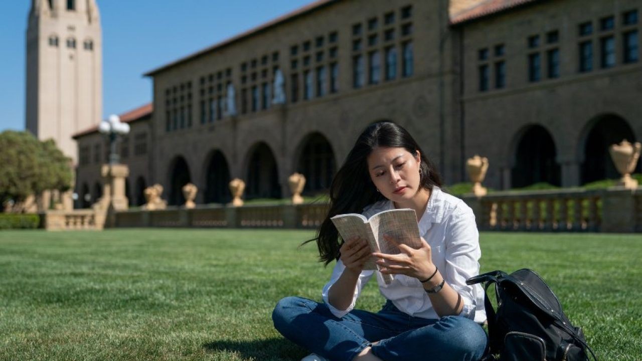 Case Study: The Success of International Students in New Zealand’s Universities – A Simple Explainer for Curious Kiwis