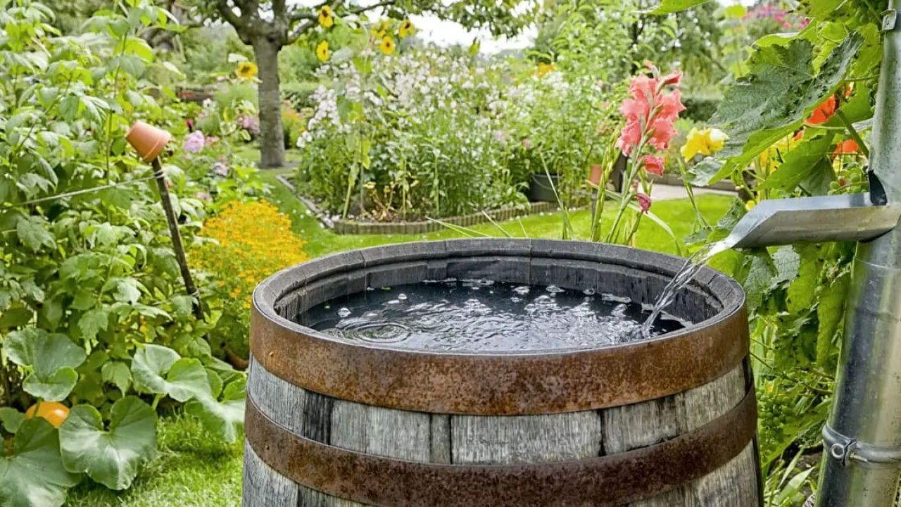 How to Install a Rainwater Collection System for Sustainability – A Complete Walkthrough for NZ Readers