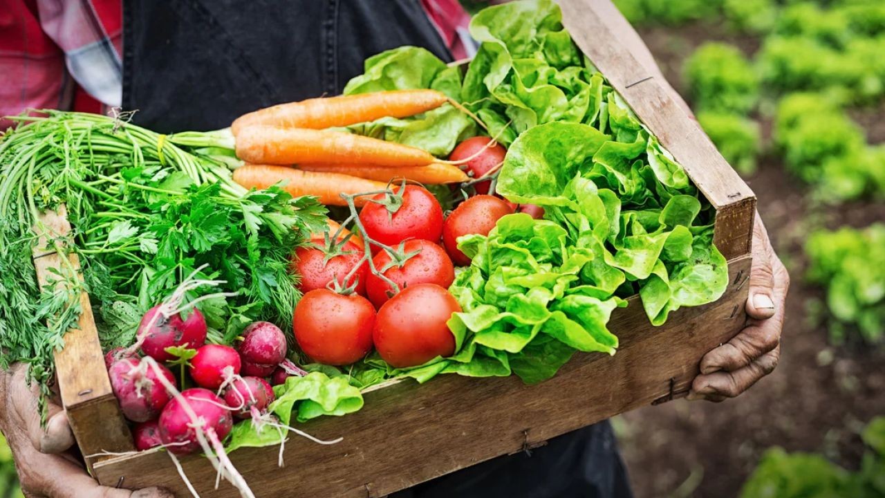 The Secret Truth Behind New Zealand’s Organic Food Movement – The Kiwi Blueprint for Long-Term Success
