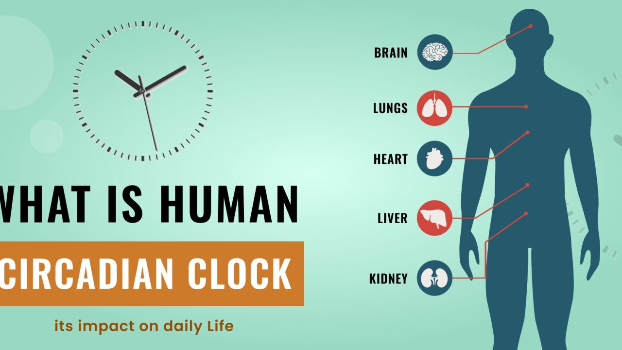 How to Reset Your Biological Clock for Maximum Health – Key Mistakes Kiwis Should Avoid