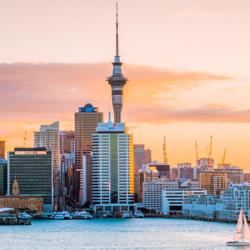 Auckland See Before You Go
