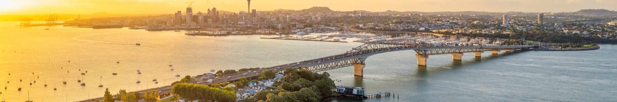 Auckland See Before You Go