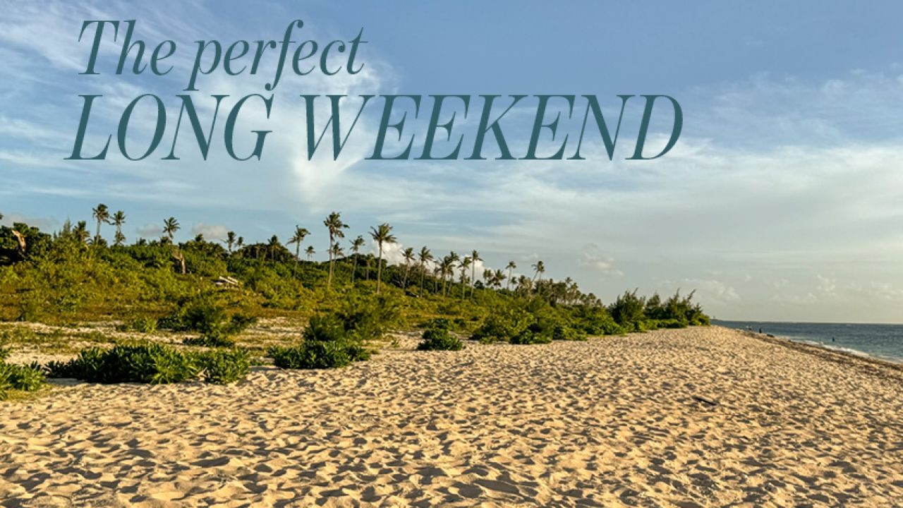 Where Should I Go in Auckland This Weekend? 10 Places Worth Visiting