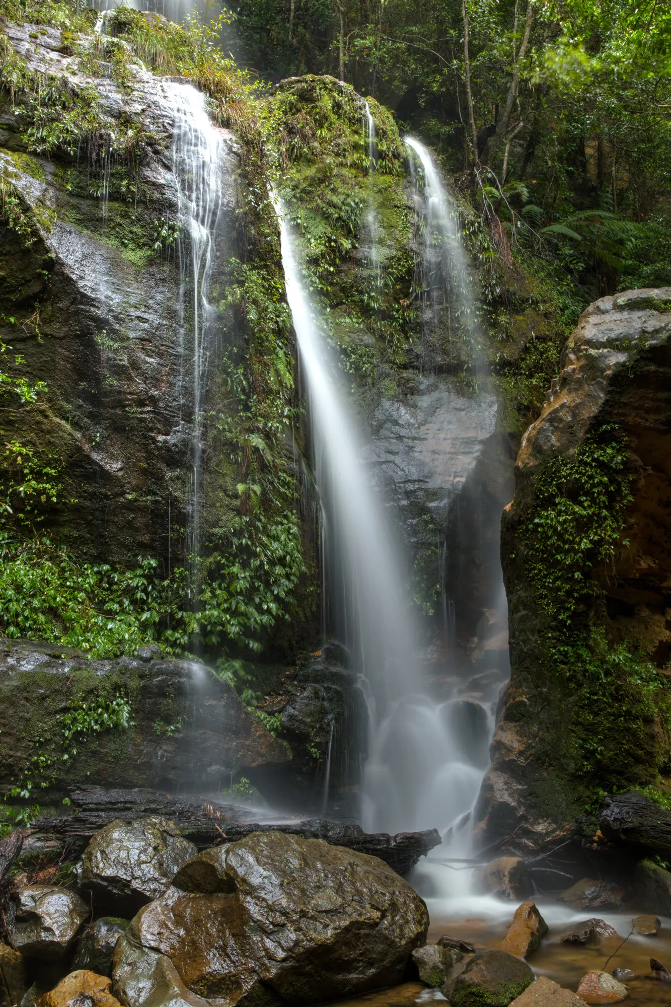 Cascade Falls flowing through the rainforest