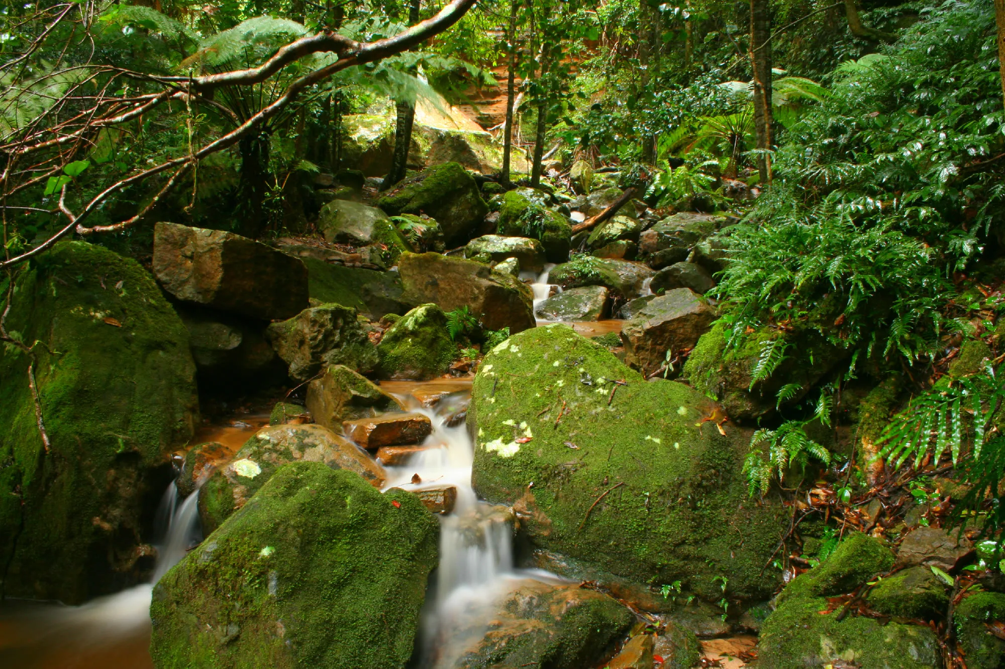 Cedar Falls cascading over mossy rock