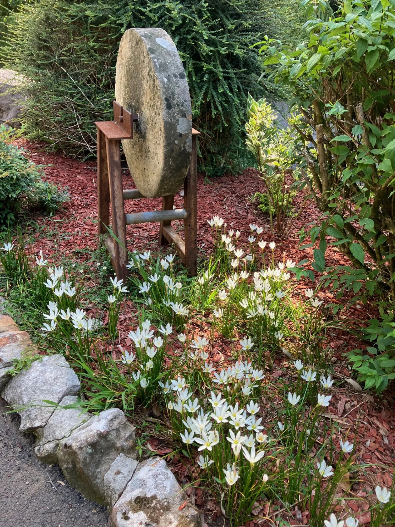 Garden beds and greenery at Cedarvale