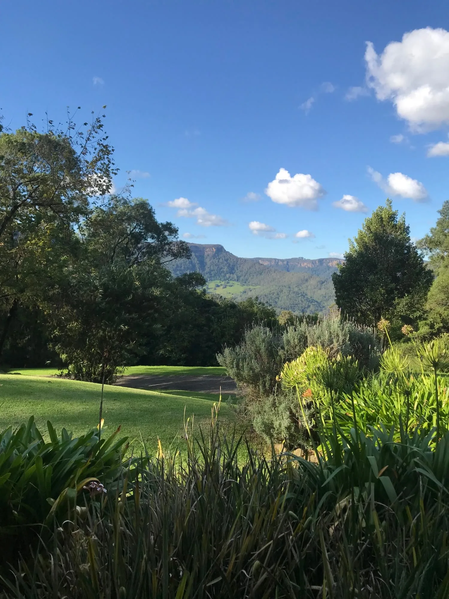 Scenic view from Cedarvale NSW