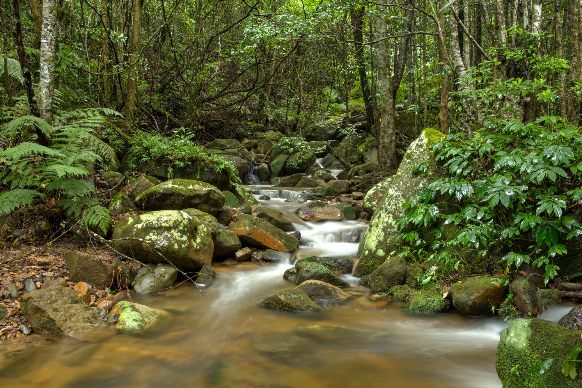 A small waterfall on the property trails