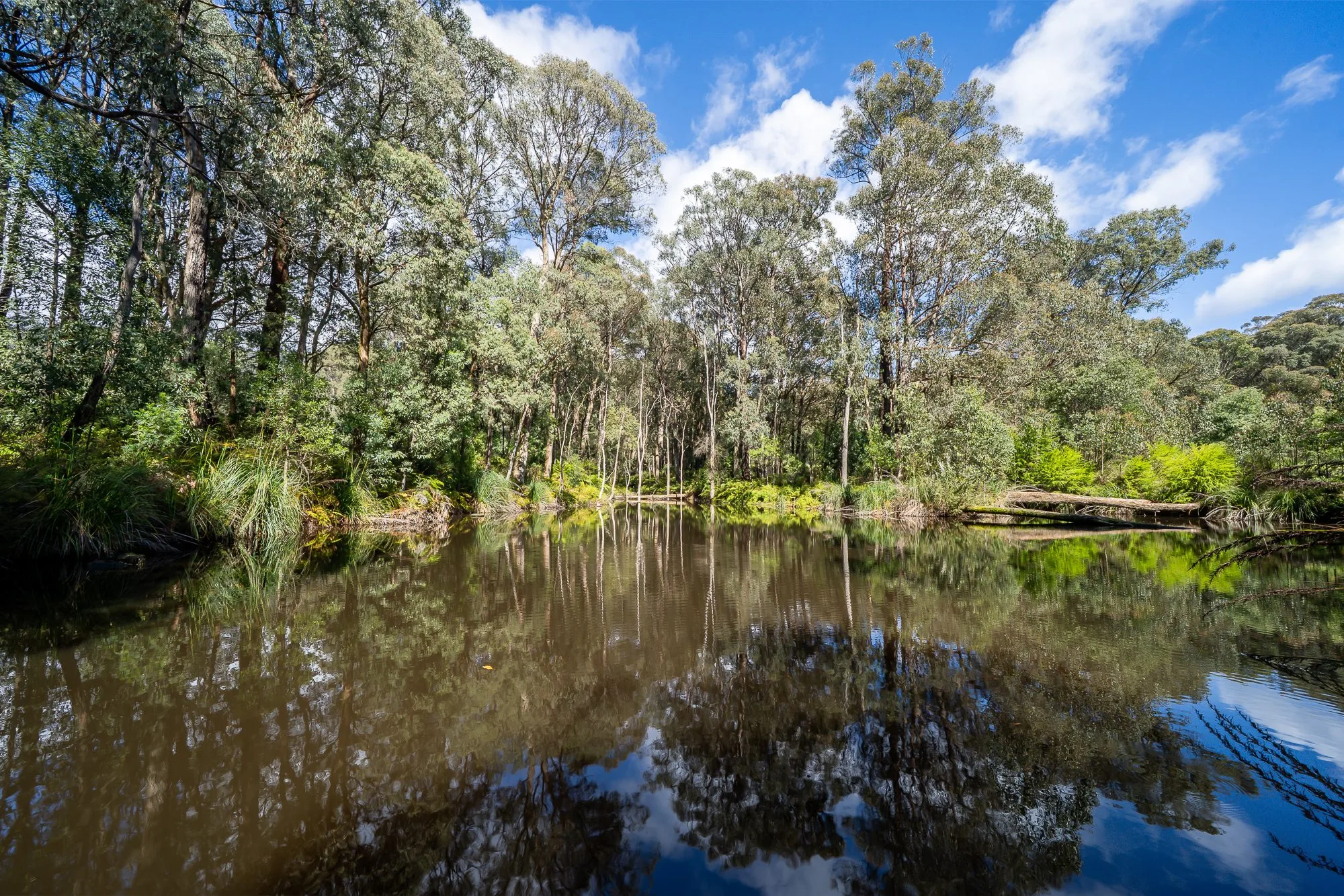 Cedarvale Yarra Ranges retreat - photo 33