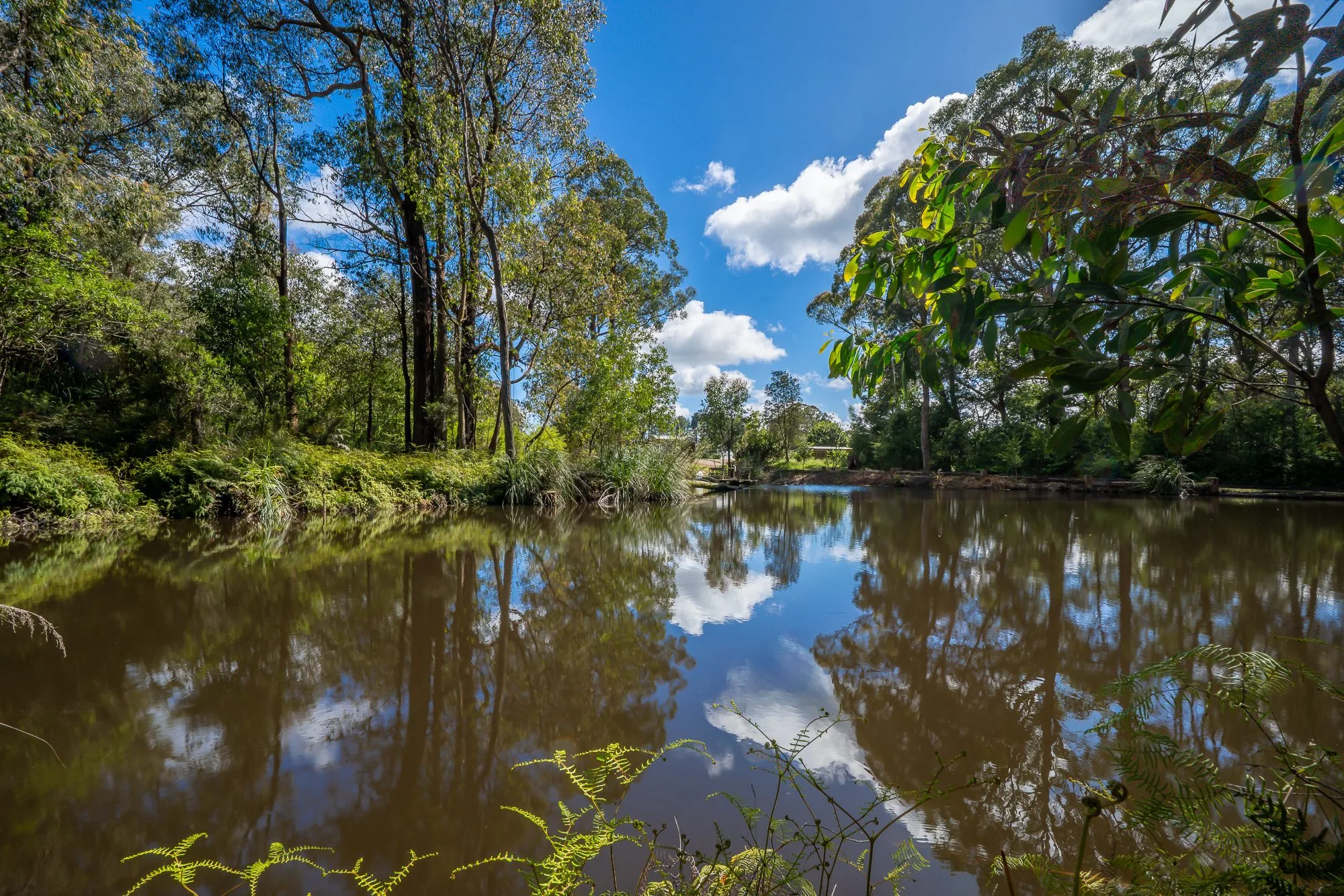 Cedarvale Yarra Ranges retreat - photo 34