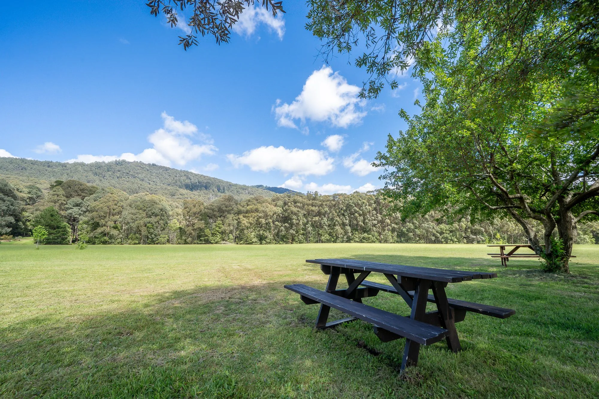 Cedarvale Yarra Ranges retreat - photo 39