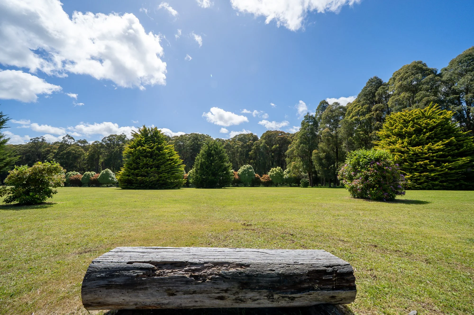 Cedarvale Yarra Ranges retreat - photo 43