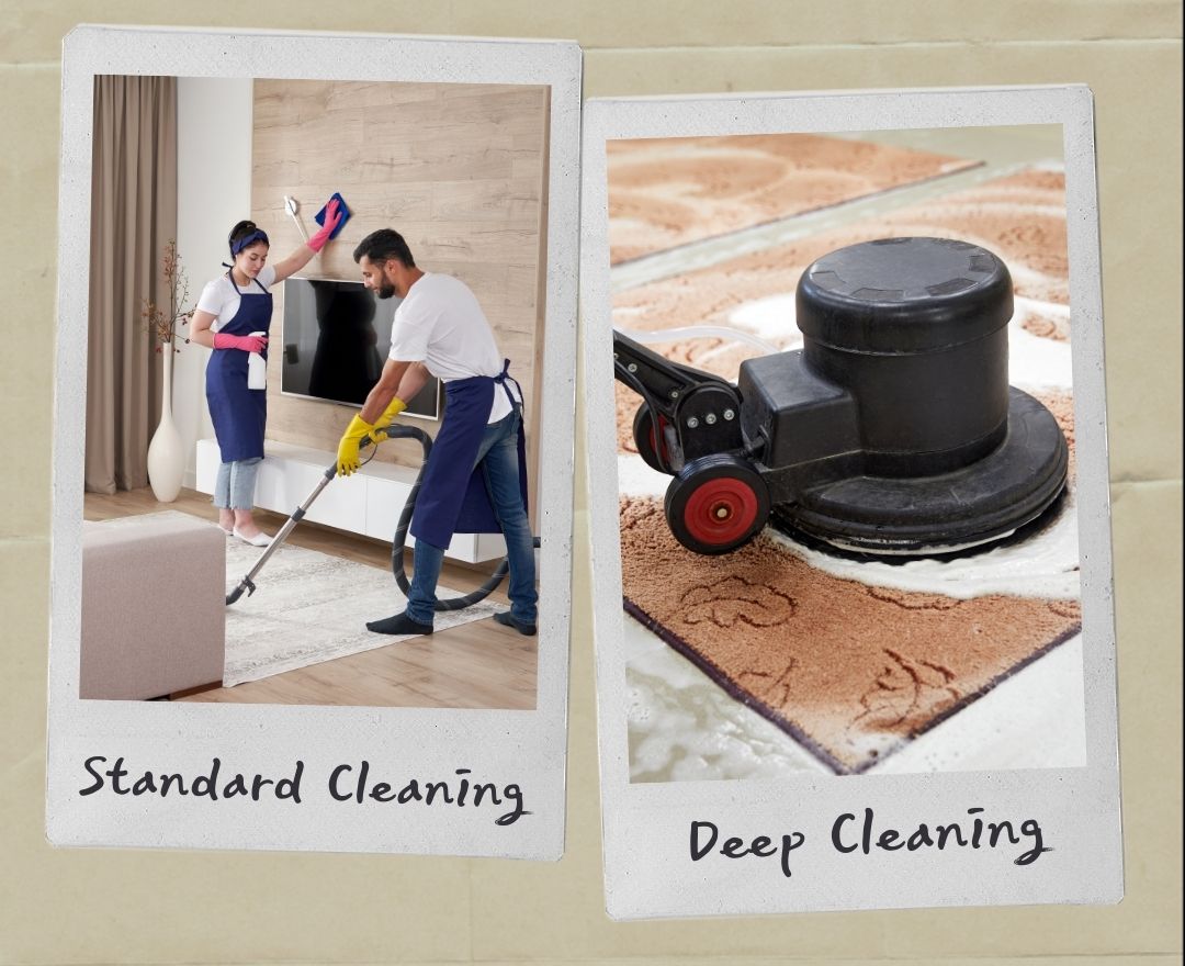 What is The Difference Between Standard Cleaning and Deep Cleaning