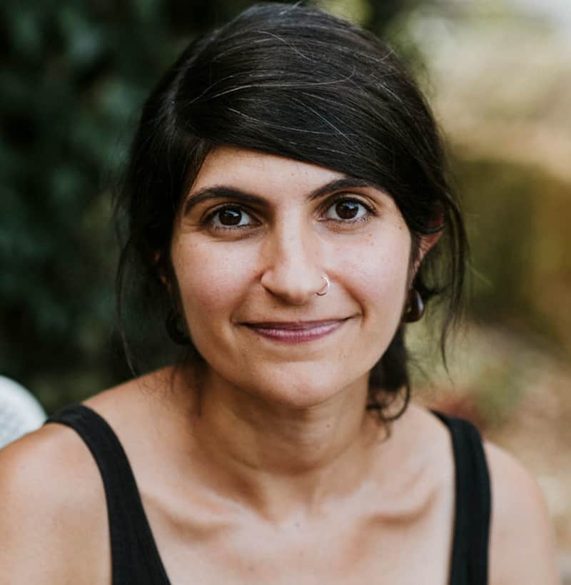 Shida Bazyar author