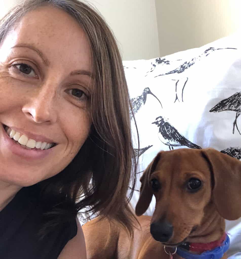 Cate James, children's book illustrator