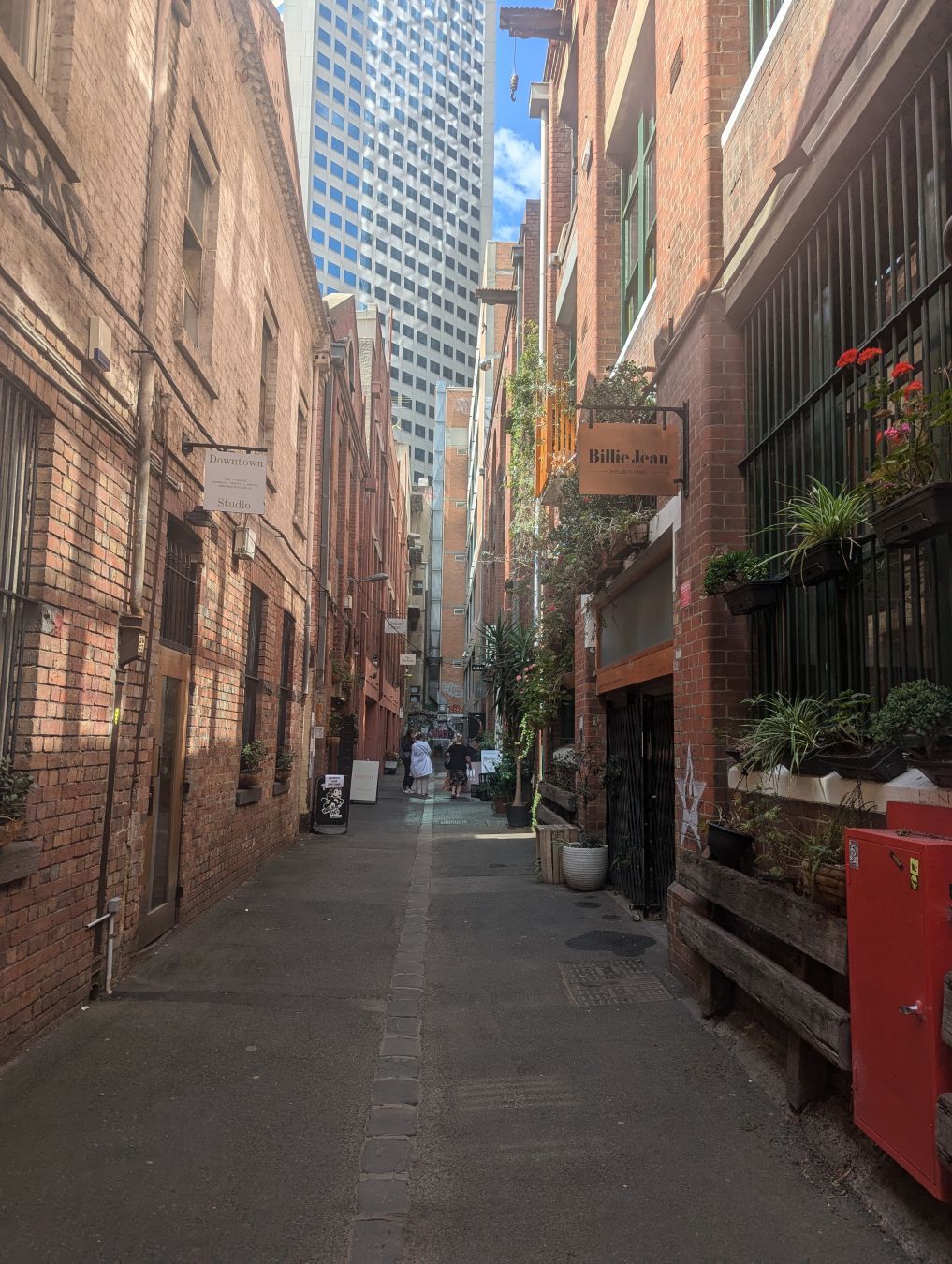 A laneway with central cobblestone. Brown brick buildings enclose the lane and a blue skyscraper and blue sky rise from the background. In the laneway are potted plants and various signs for storefronts