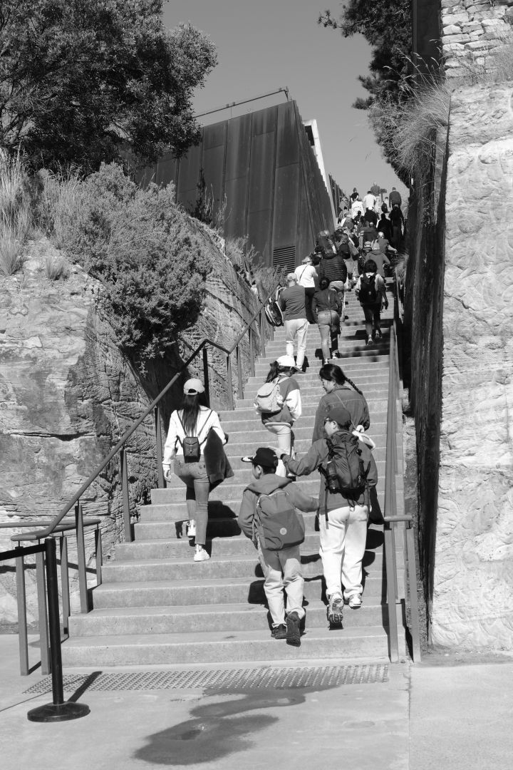 People climbing the stairs to MONA from the ferry entrance