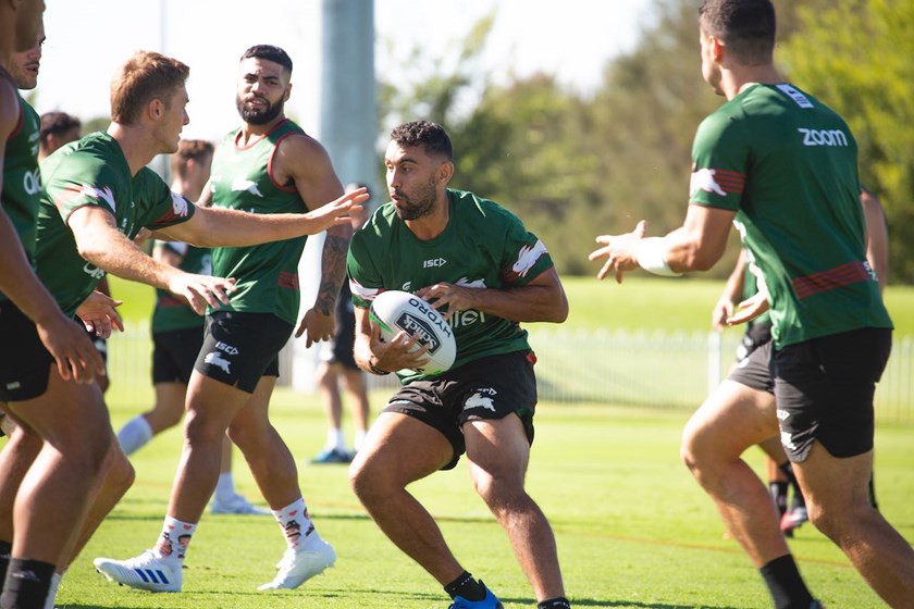 South Sydney Rabbitohs – Article